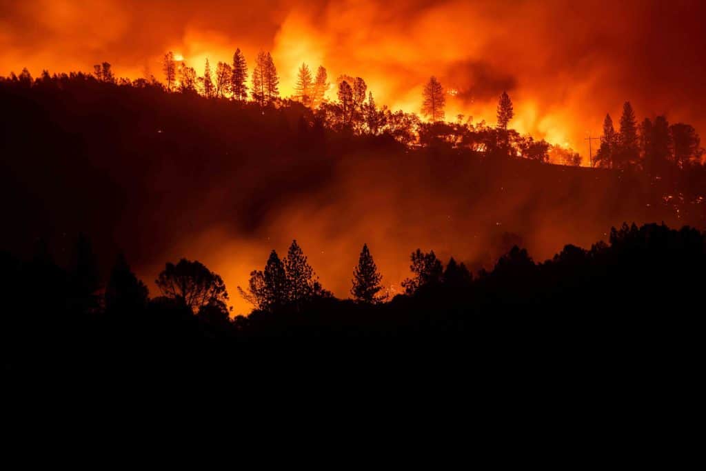 California Wildfires: From Paradise to Hell on Earth